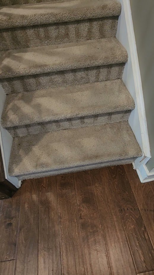 Move-Out Cleaning Project